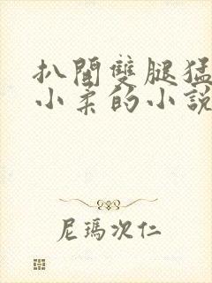 扒开双腿猛进入小柔的小说