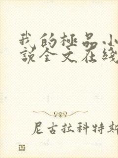 我的极品小姨小说全文在线阅读