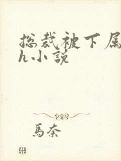 总裁被下属调教h小说