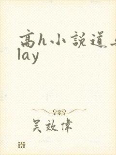 高h小说道具play