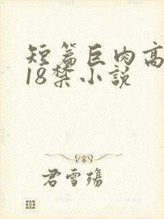 短篇巨肉高h文18禁小说封面