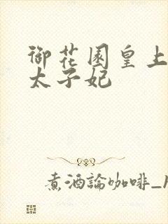 御花园皇上撞着太子妃封面