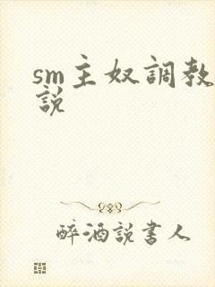 sm主奴调教小说