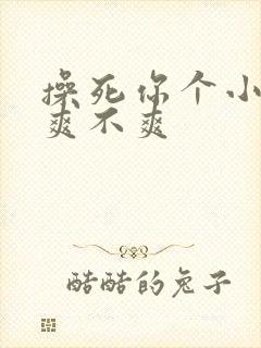 操死你个小骚货爽不爽