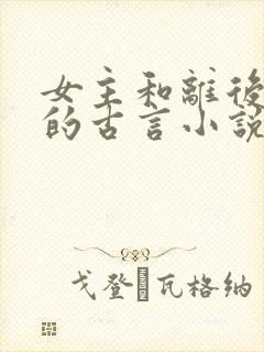 女主和离后二嫁的古言小说