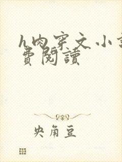 h肉穿文小说免费阅读