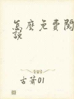 怎么免费阅读小说封面