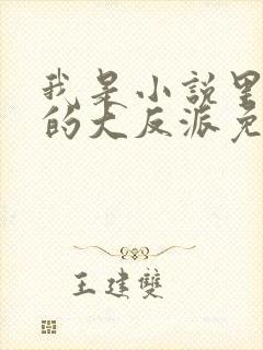 我是小说里共同的大反派免费阅读