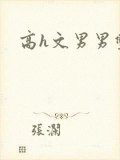 高h文男男双性