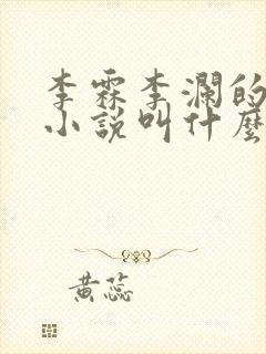 李霖李澜的官场小说叫什么