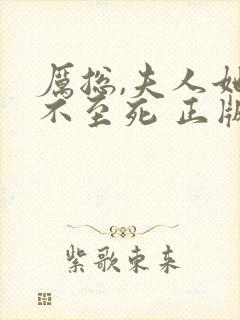 厉总,夫人她罪不至死 正版封面