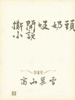 撕开吸奶头进女小说