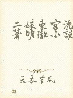 二嫁东宫沈雨燃萧明彻小说免费阅读全文