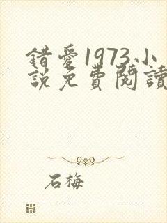 错爱1973小说免费阅读笔趣阁