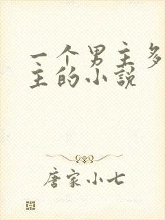 一个男主多个女主的小说