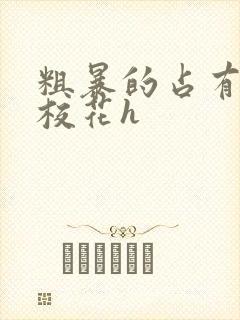 粗暴的占有清纯校花h封面