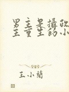 男主是摄政王女主重生的小说