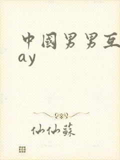 中国男男互操gay