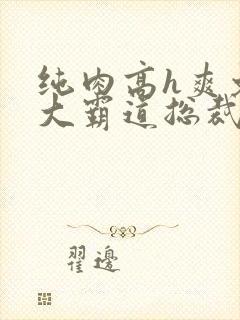 纯肉高h爽文粗大霸道总裁