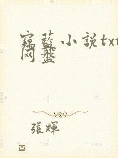 窃蓝小说txt网盘封面