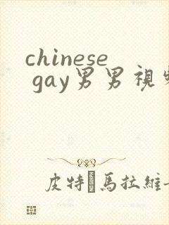chinese gay男男视频网站
