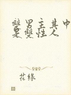 双男主其中一个是双性人