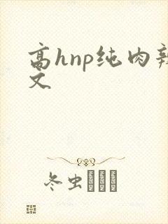 高hnp纯肉辣文封面