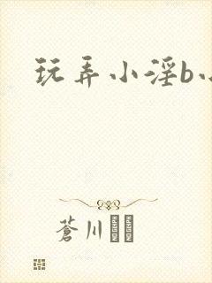 玩弄小淫b小说