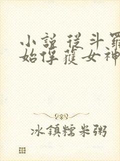 小说 从斗罗开始俘获女神