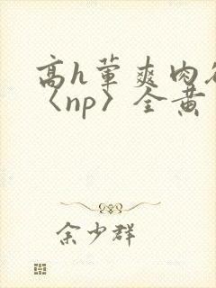 高h荤爽肉欲文〈np〉全黄封面