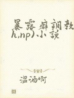 暴露癖调教(高h,np)小说