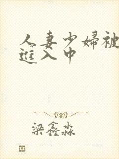 人妻少妇被猛烈进入中