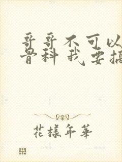 哥哥不可以哦伪骨科 我要搞h 小说封面