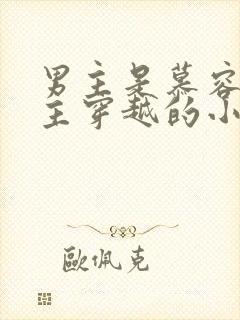 男主是慕容冲女主穿越的小说