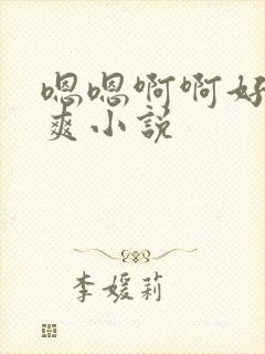 嗯嗯啊啊好大好爽小说