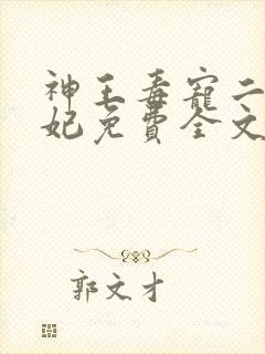 神王毒宠二嫁王妃免费全文阅读