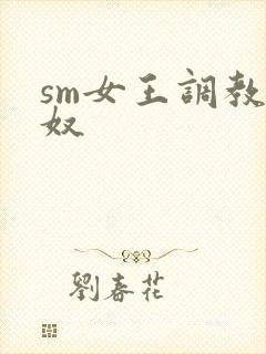 sm女王调教男奴