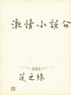 激情小说公公