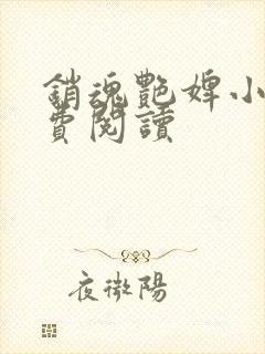 销魂艳婢小说免费阅读封面