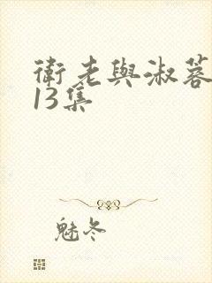 卫老与淑蓉1一13集封面