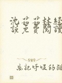 沈茹茹林经宇小说免费阅读超前更新