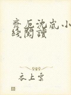 齐厄沈岚小说在线阅读