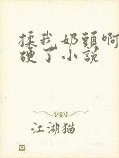 揉我奶头啊嗯摸硬了小说封面