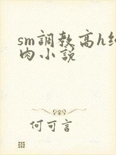 sm调教高h纯肉小说