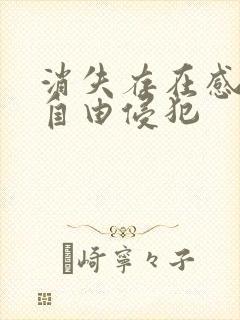 消失存在感消失自由侵犯