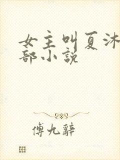 女主叫夏沐的全部小说