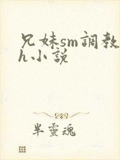 兄妹sm调教高h小说