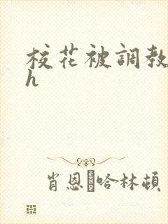 校花被调教小说h封面