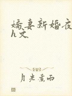 娇妻新婚夜重口h文