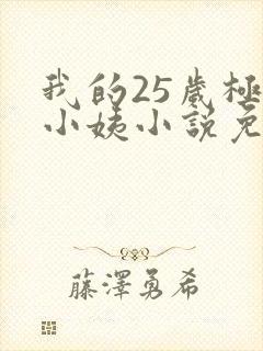 我的25岁极品小姨小说免费阅读